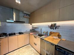 Hillcrest Park (D11), Apartment #443532521
